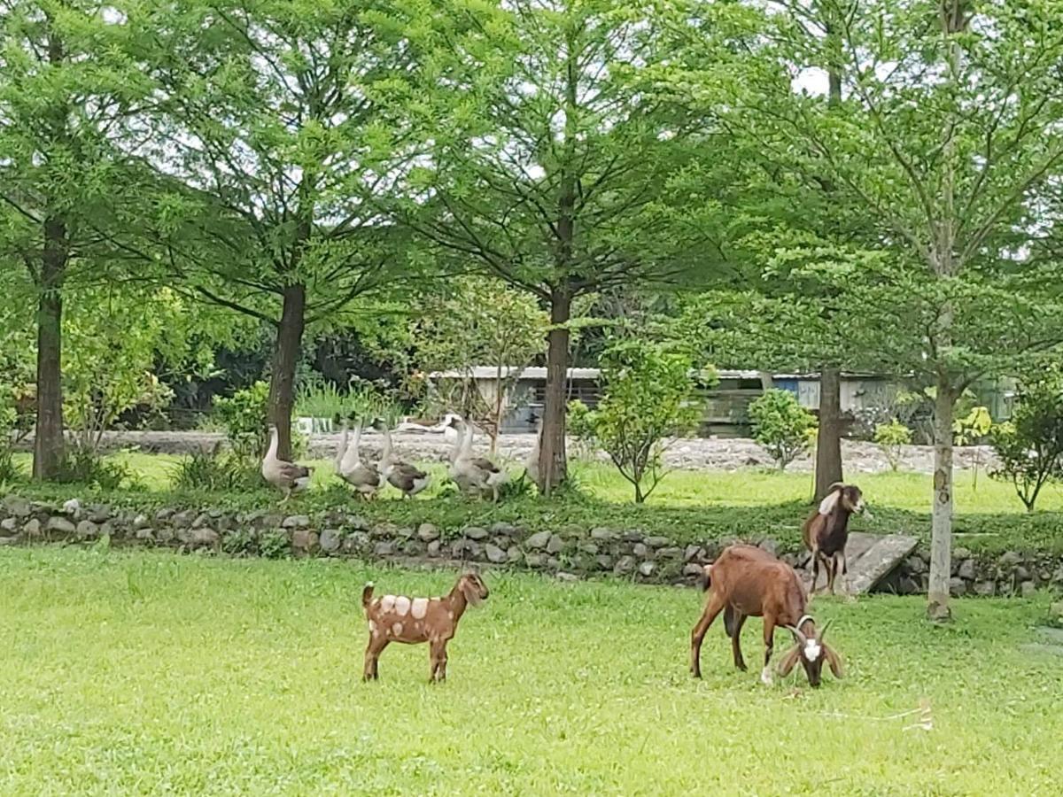 Meihua Lake Leisure Farm Dongshan  Exteriör bild